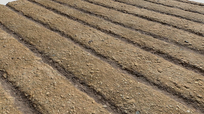 Farm Terrain Textures Texture