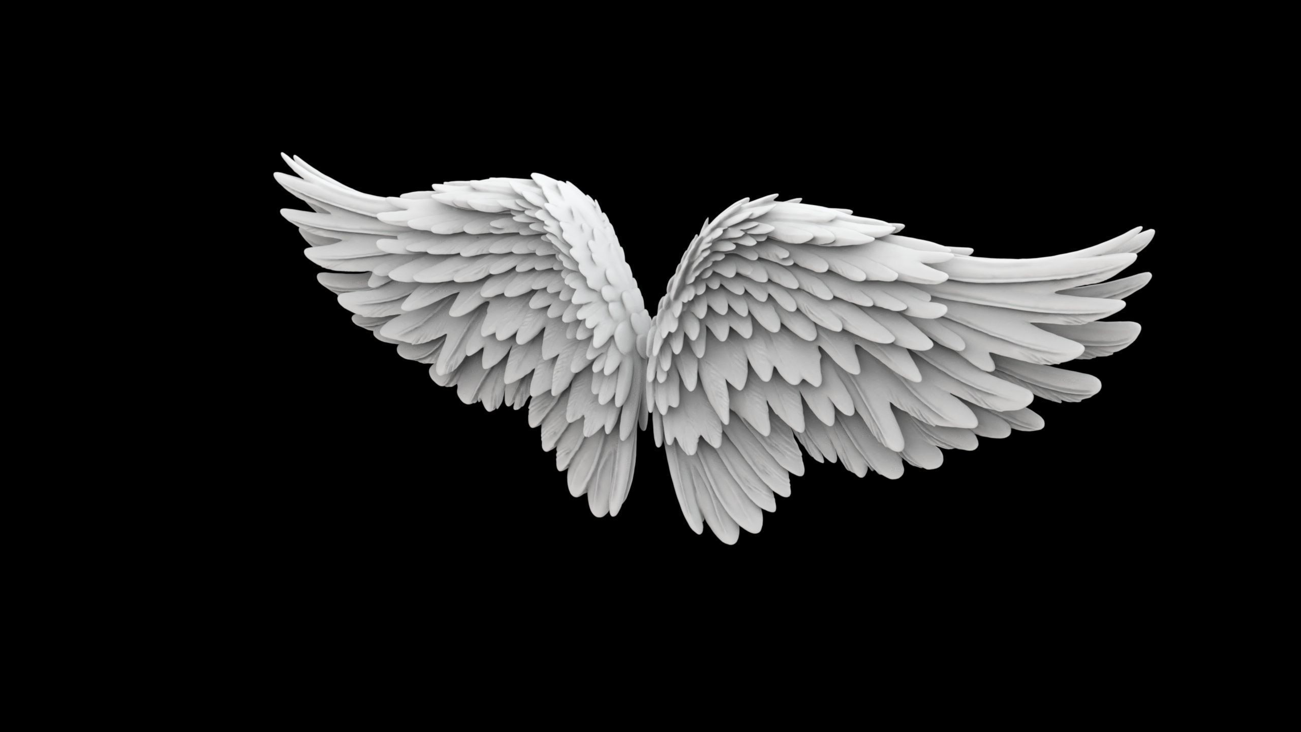 Angel Wings Overlapping Feather Structure 3D print model_3