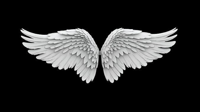 Angel Wings Overlapping Feather Structure 3D print model