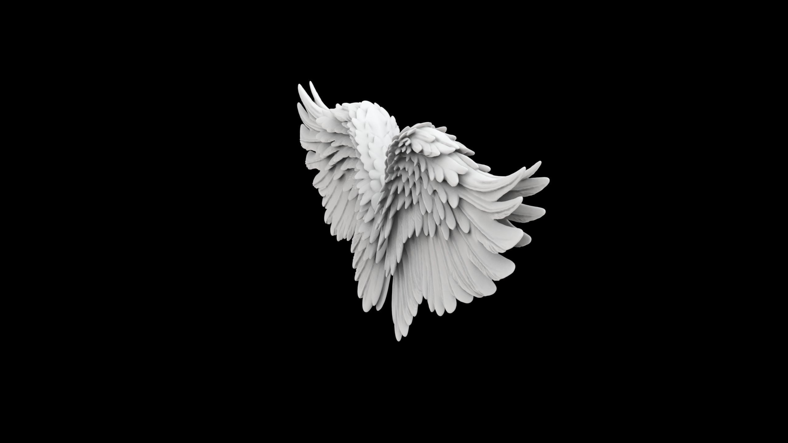Angel Wings Overlapping Feather Structure 3D print model_1