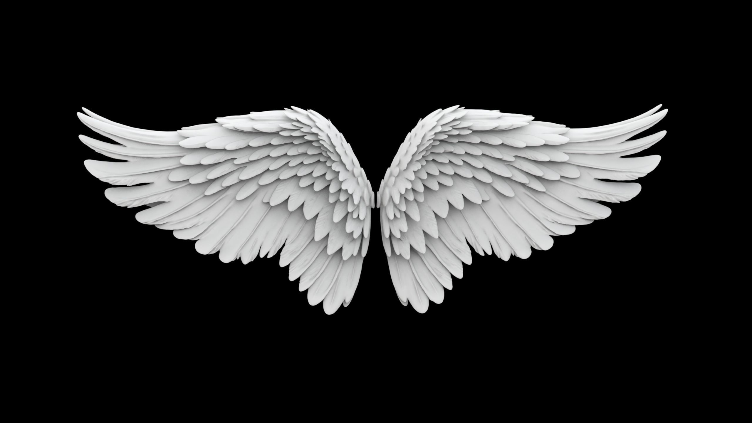 Angel Wings Overlapping Feather Structure 3D print model_5