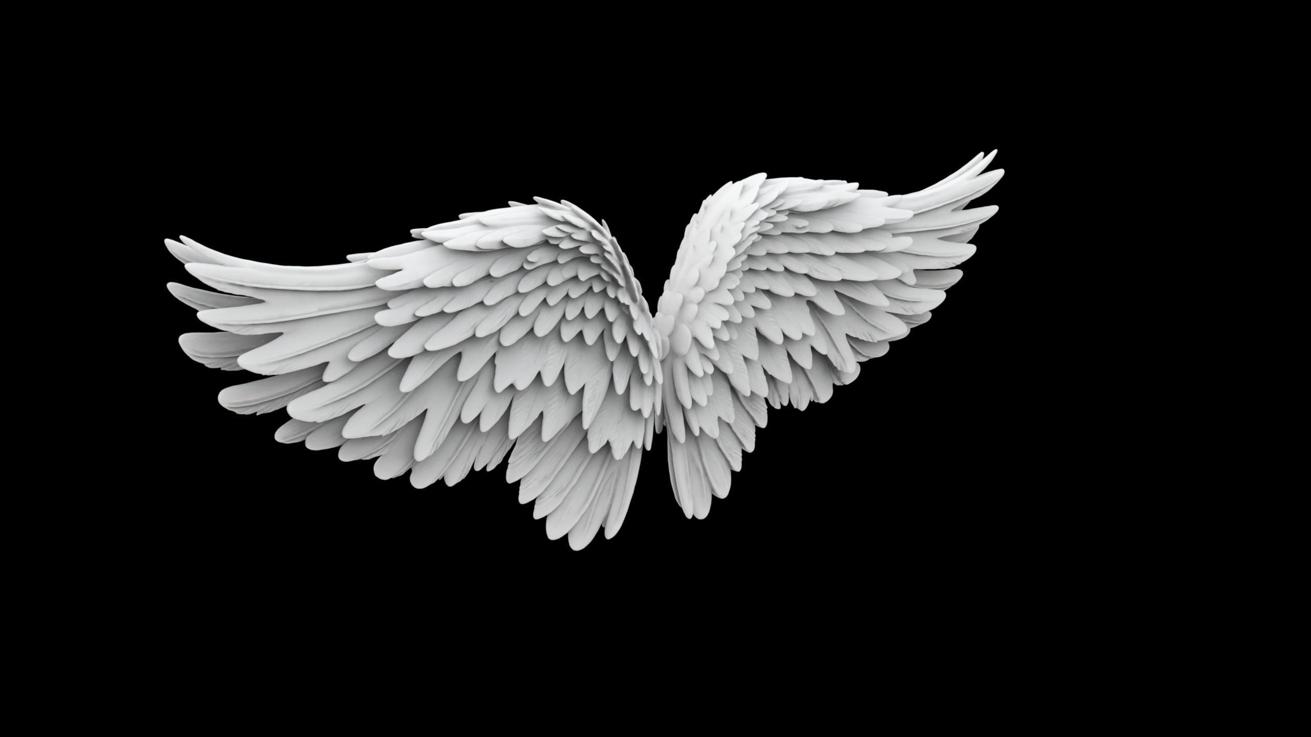 Angel Wings Overlapping Feather Structure 3D print model_2