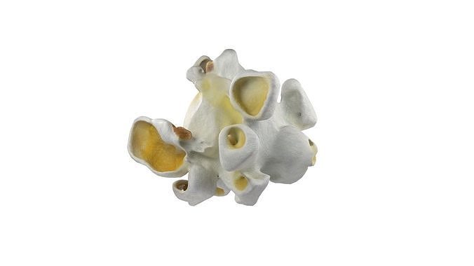Popcorn collection  Low-poly 3D model 6