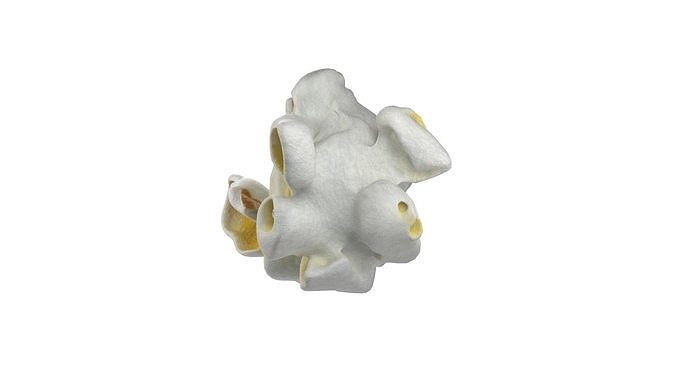 Popcorn collection  Low-poly 3D model 5