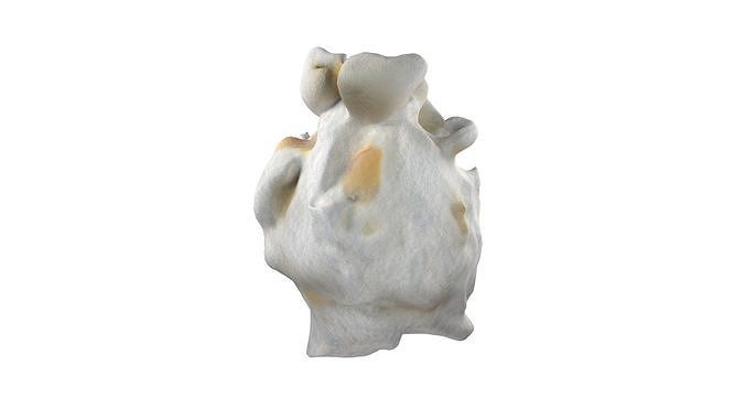 Popcorn collection  Low-poly 3D model 7