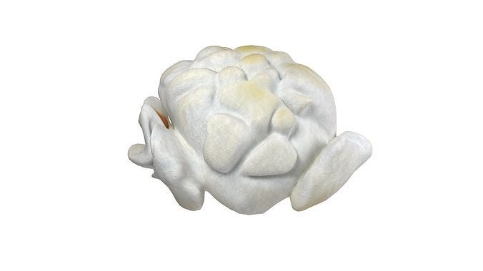 Popcorn collection  Low-poly 3D model 4