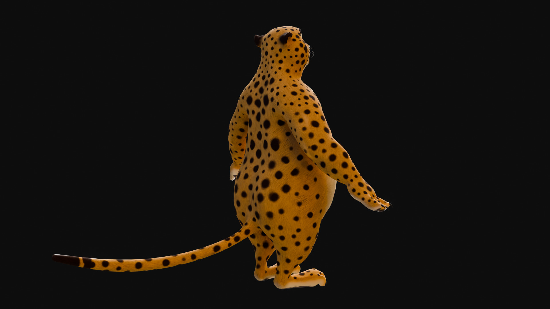Stylized Biped Cheetah - Rigged Cartoon Animal  for Blender Low-poly 3D model_22