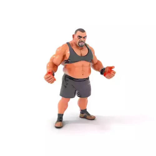 Muscular Fighter Character Rigged and Animated