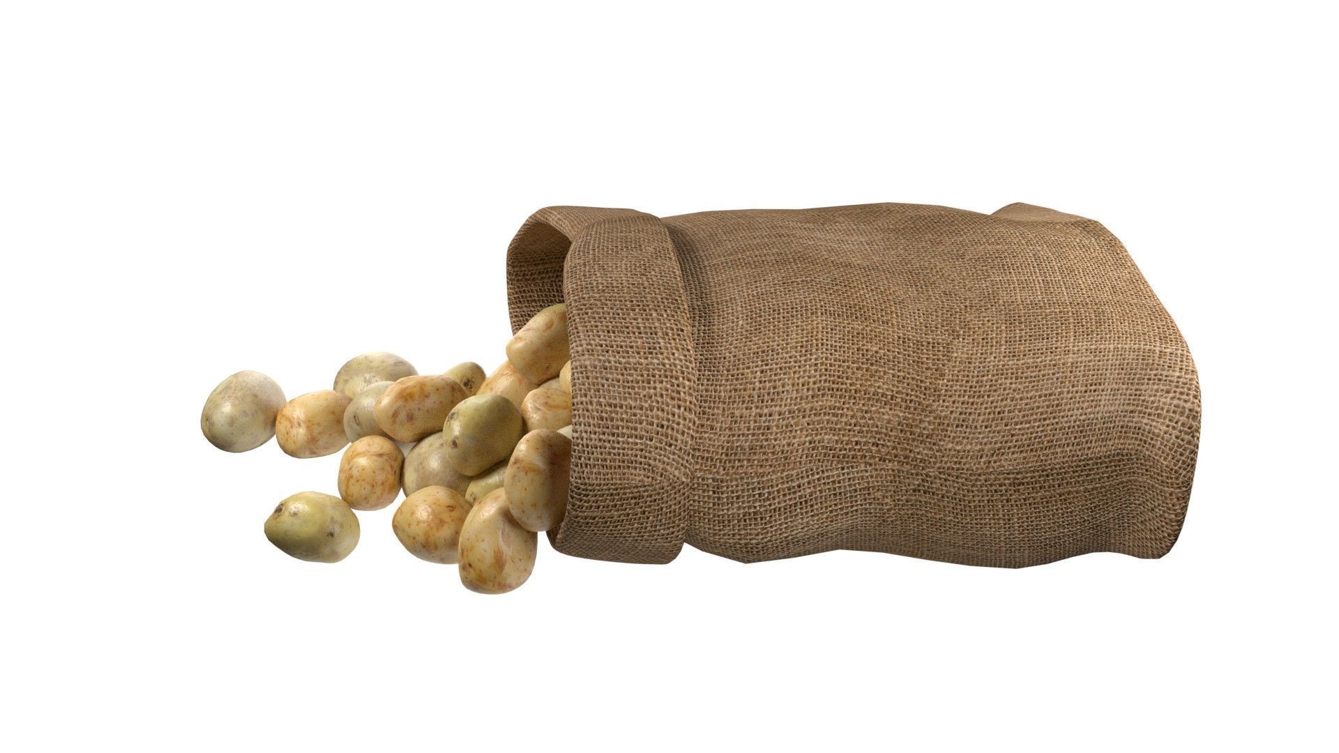 Potato sack  Low-poly 3D model_3