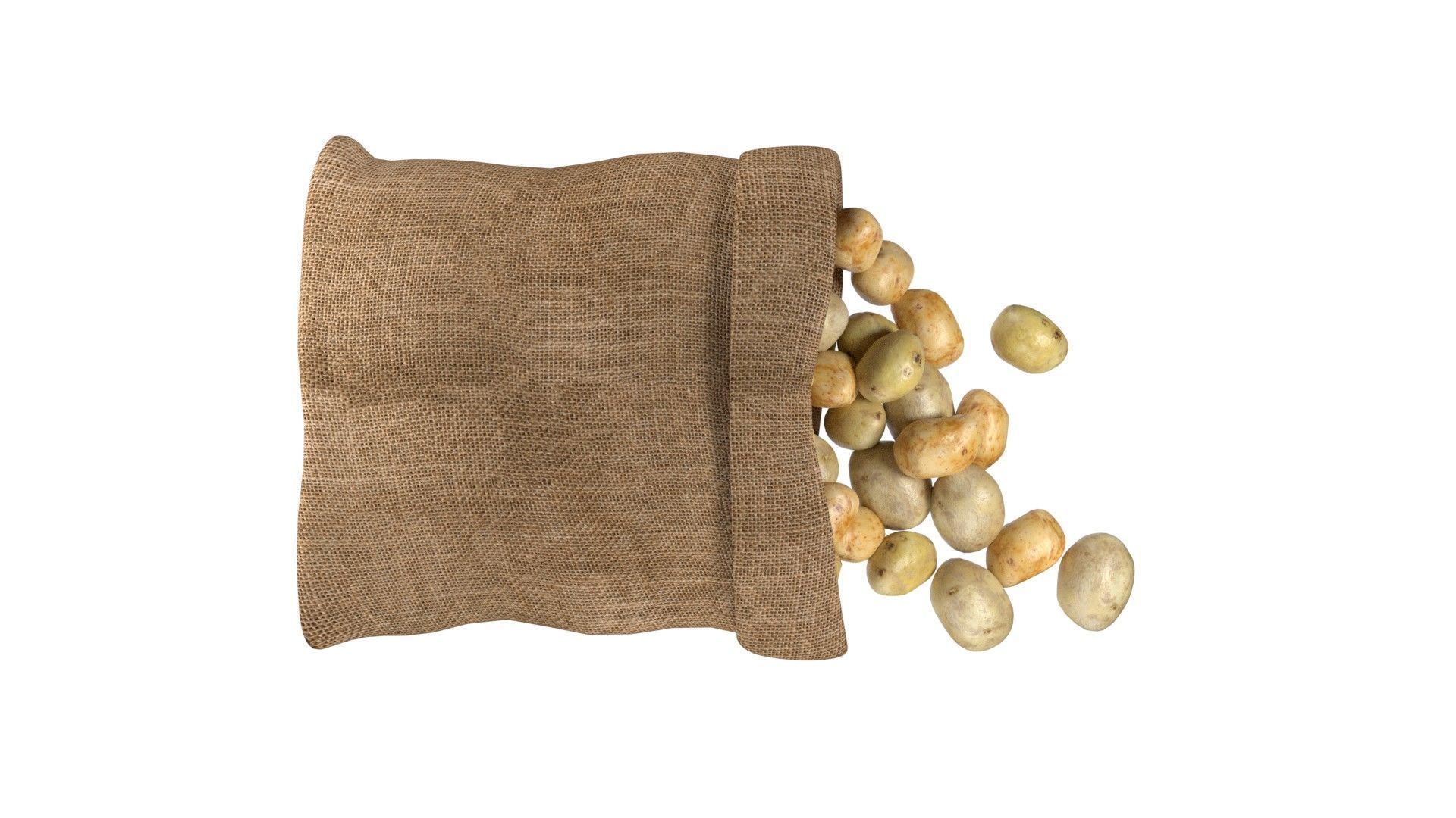 Potato sack  Low-poly 3D model_5