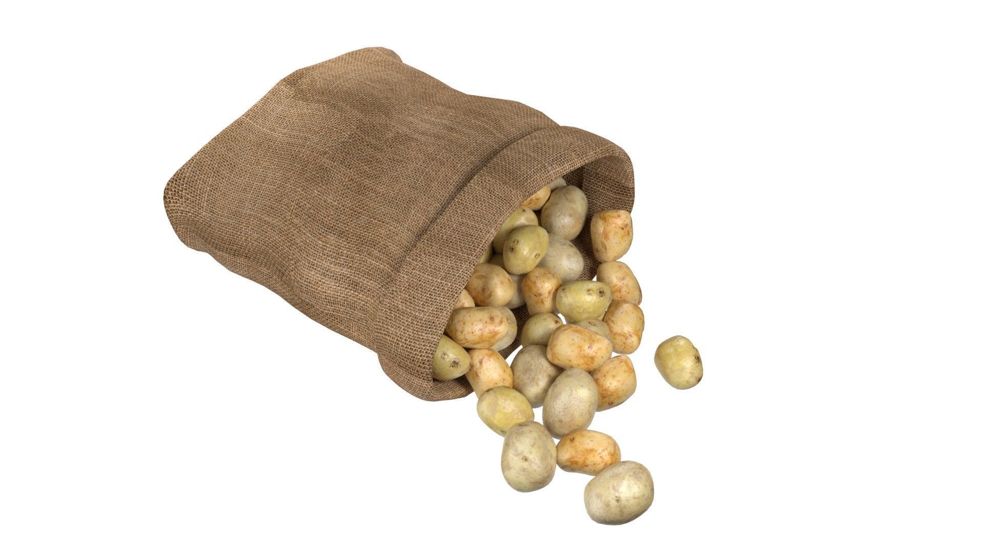 Potato sack  Low-poly 3D model_1