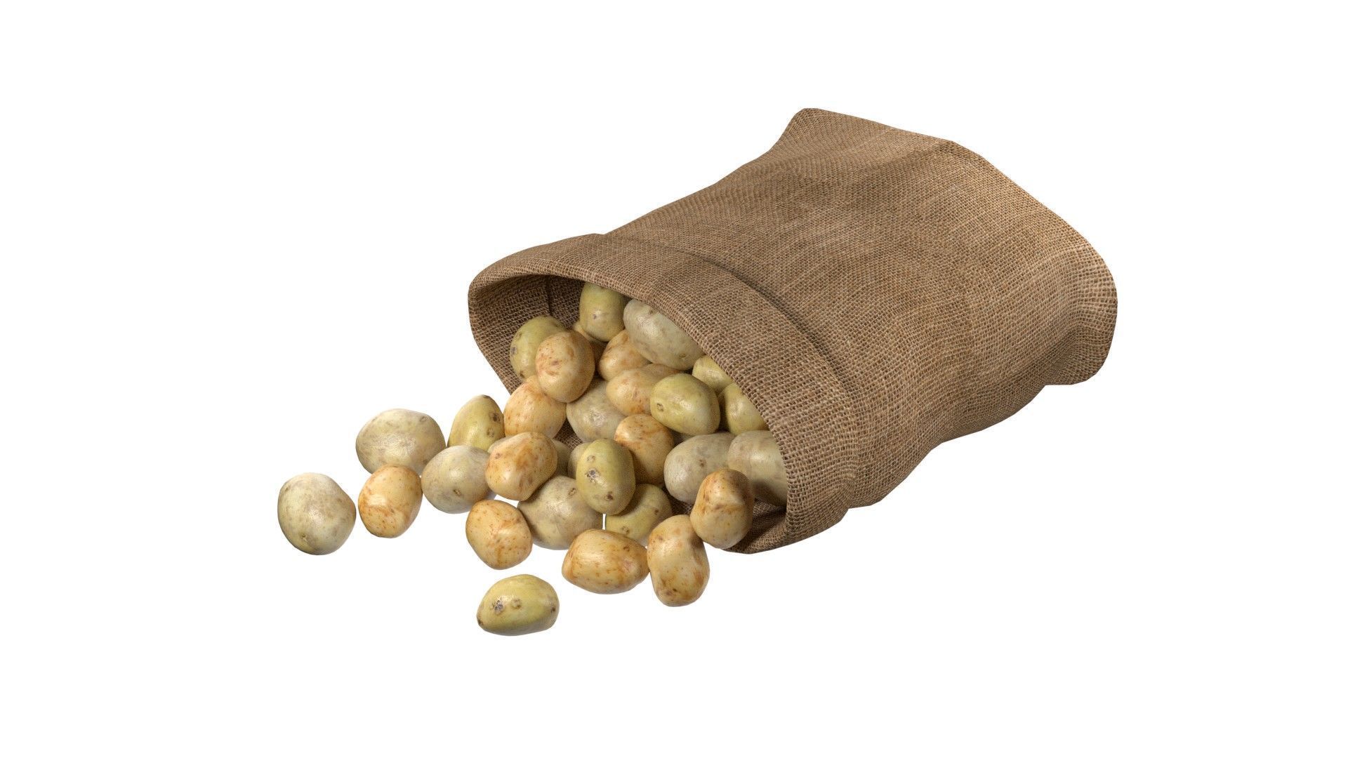 Potato sack  Low-poly 3D model_2