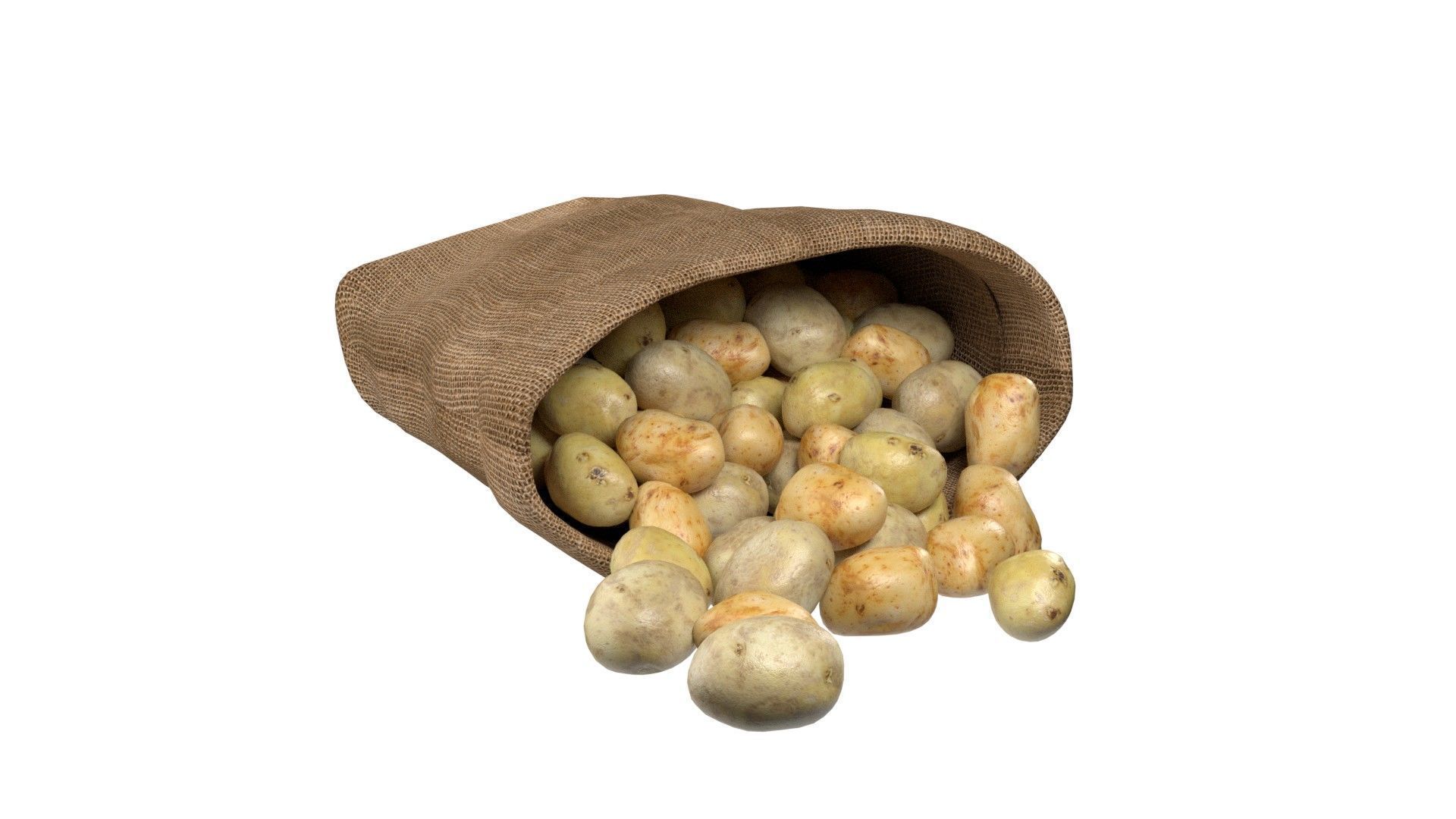Potato sack  Low-poly 3D model_4