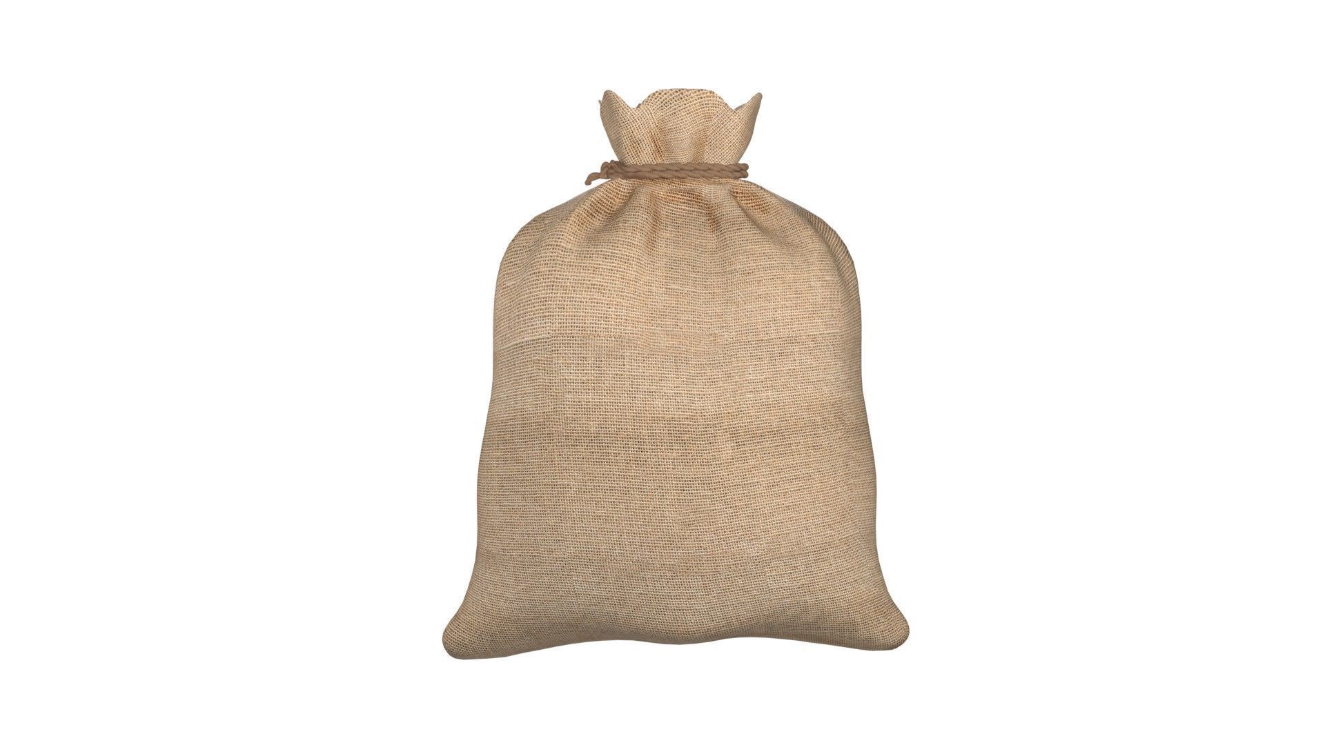 Sack 2  Low-poly 3D model_2