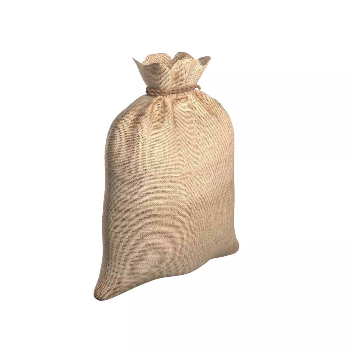 Sack 2  Low-poly 3D model_0