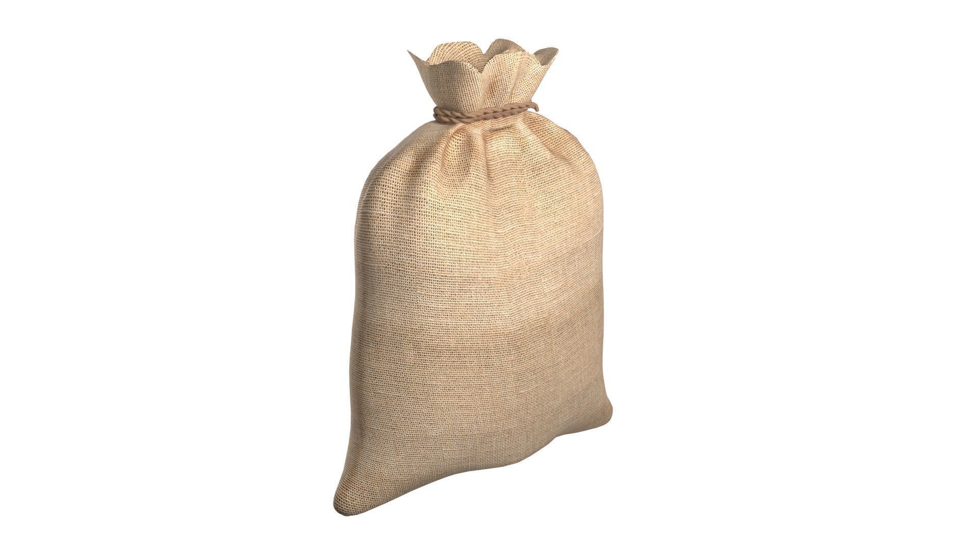 Sack 2  Low-poly 3D model_1