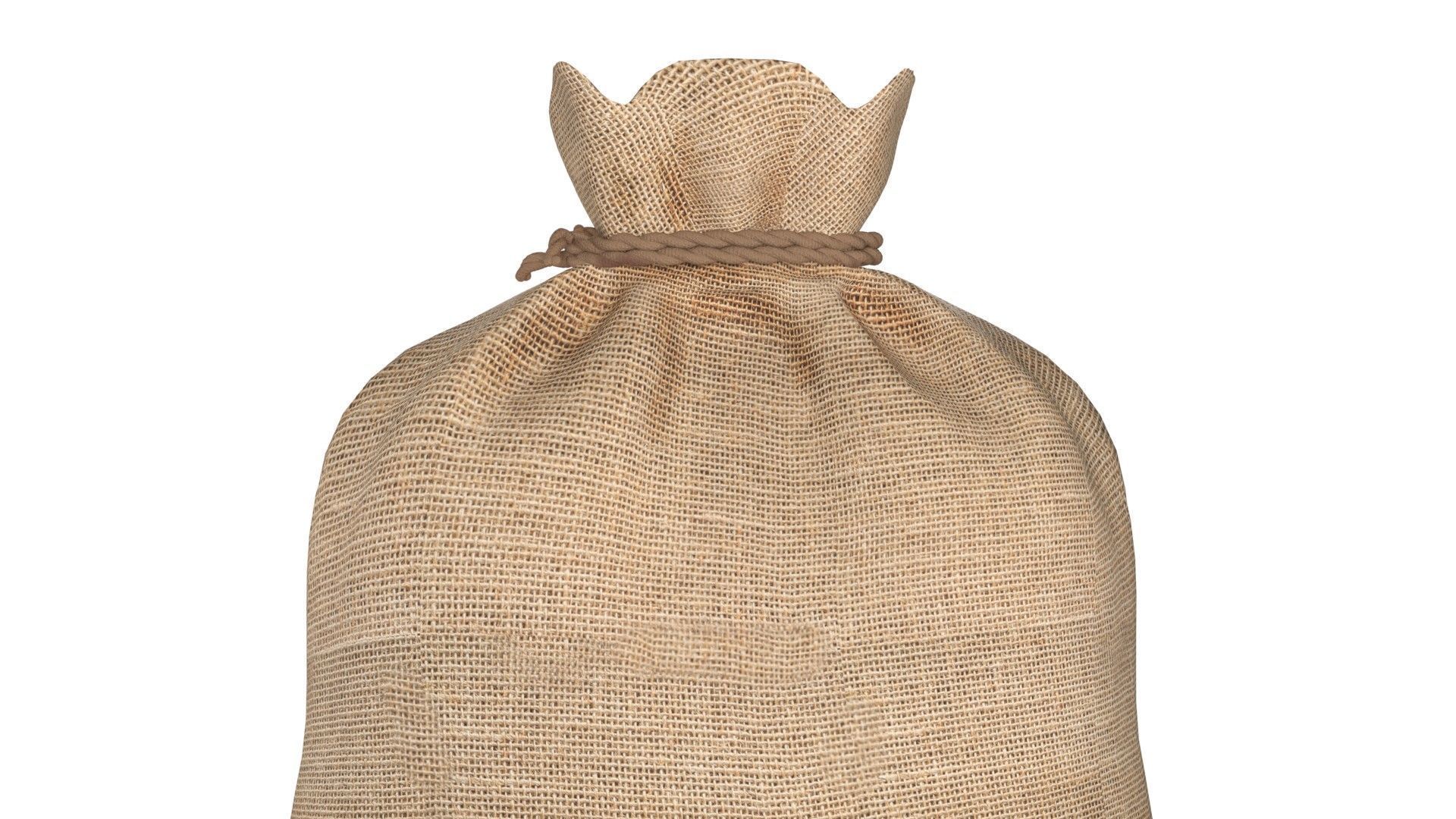 Sack 2  Low-poly 3D model_5