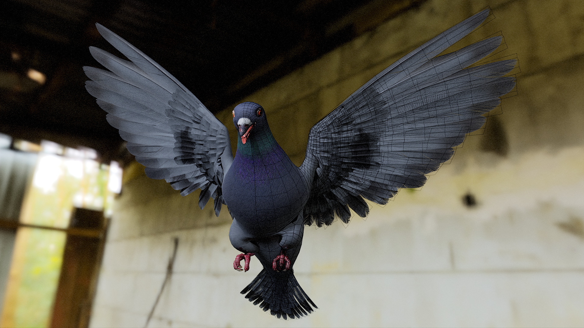 Pigeon Low-poly 3D model_9