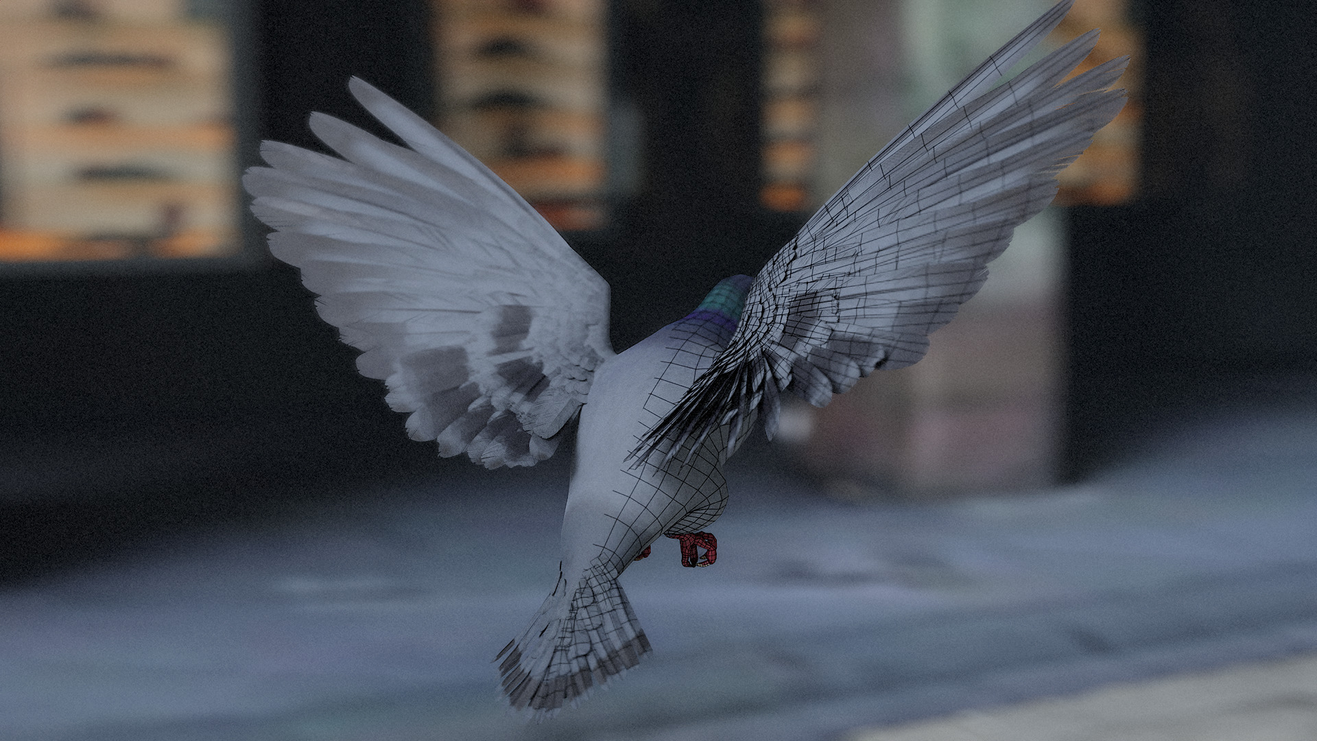 Pigeon Low-poly 3D model_10
