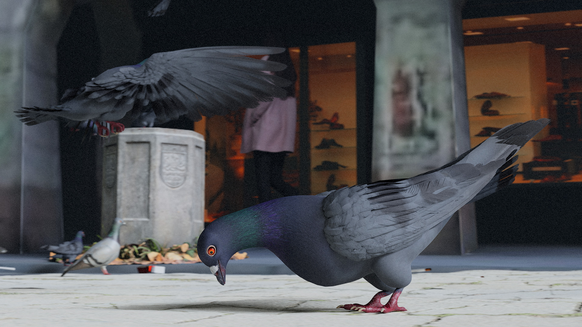 Pigeon Low-poly 3D model_7