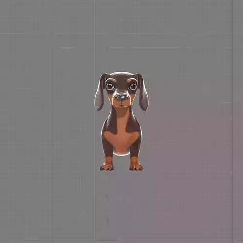 Adorable Dachshund Dog