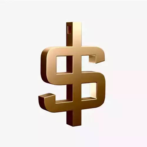 Dollar Symbol Keychain