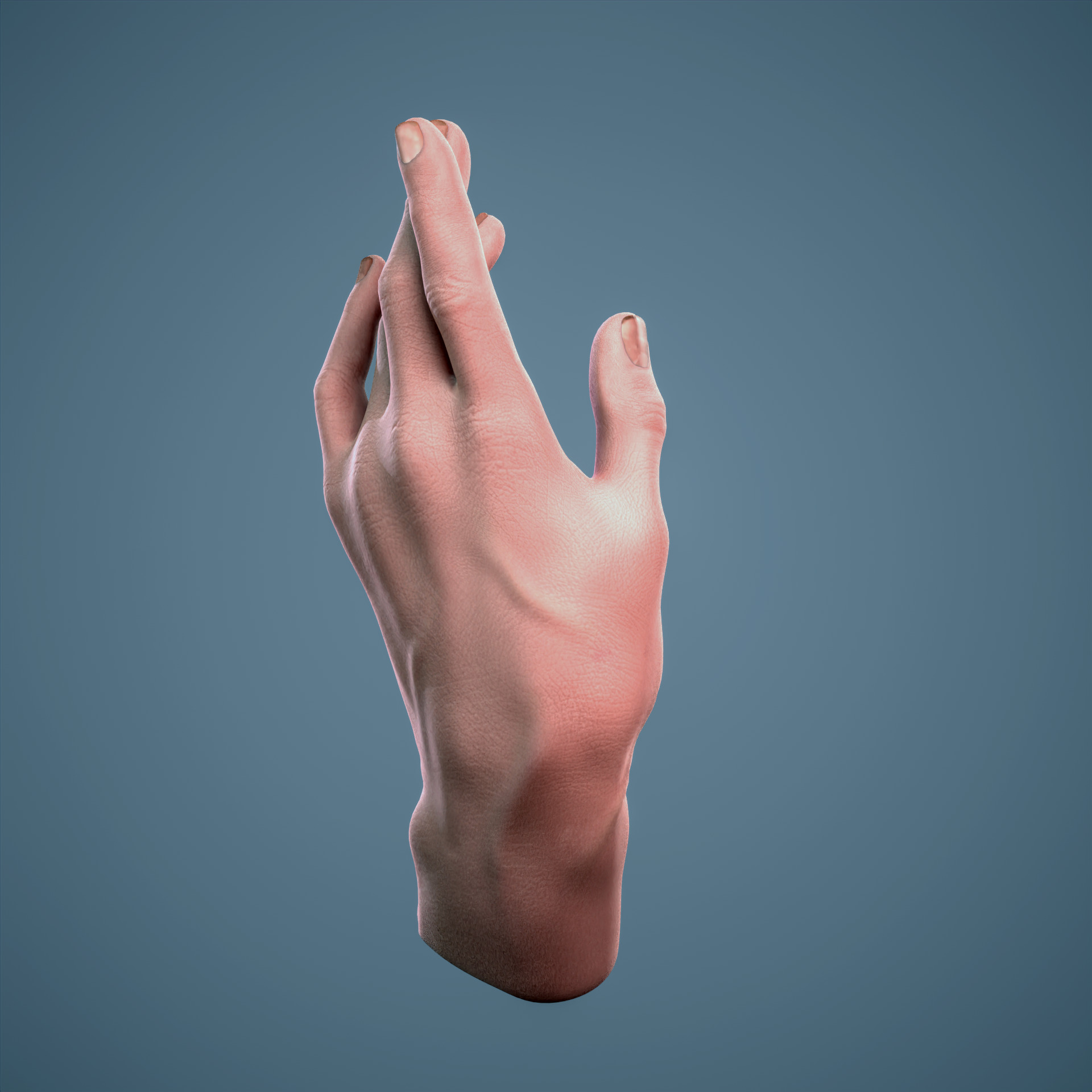 Hand sculpture by Hovo Baghdasaryan 3D print model_7