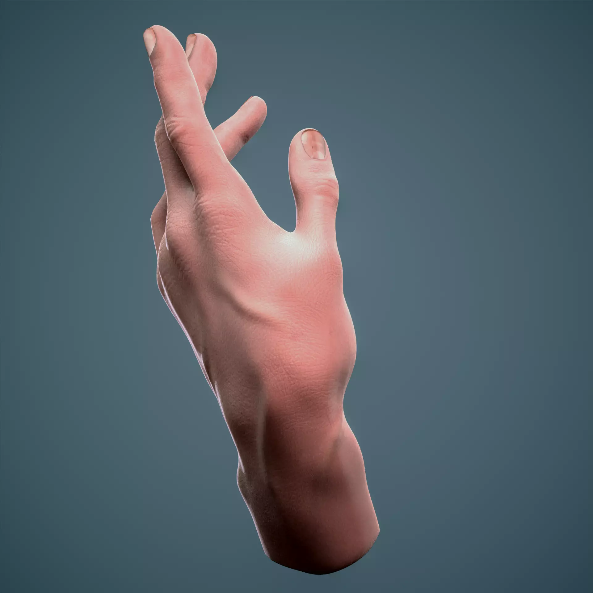 Hand sculpture by Hovo Baghdasaryan 3D print model_0