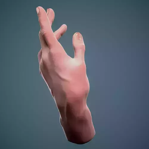 Hand sculpture by Hovo Baghdasaryan