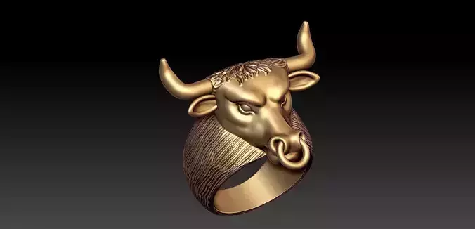 Bull ring stl