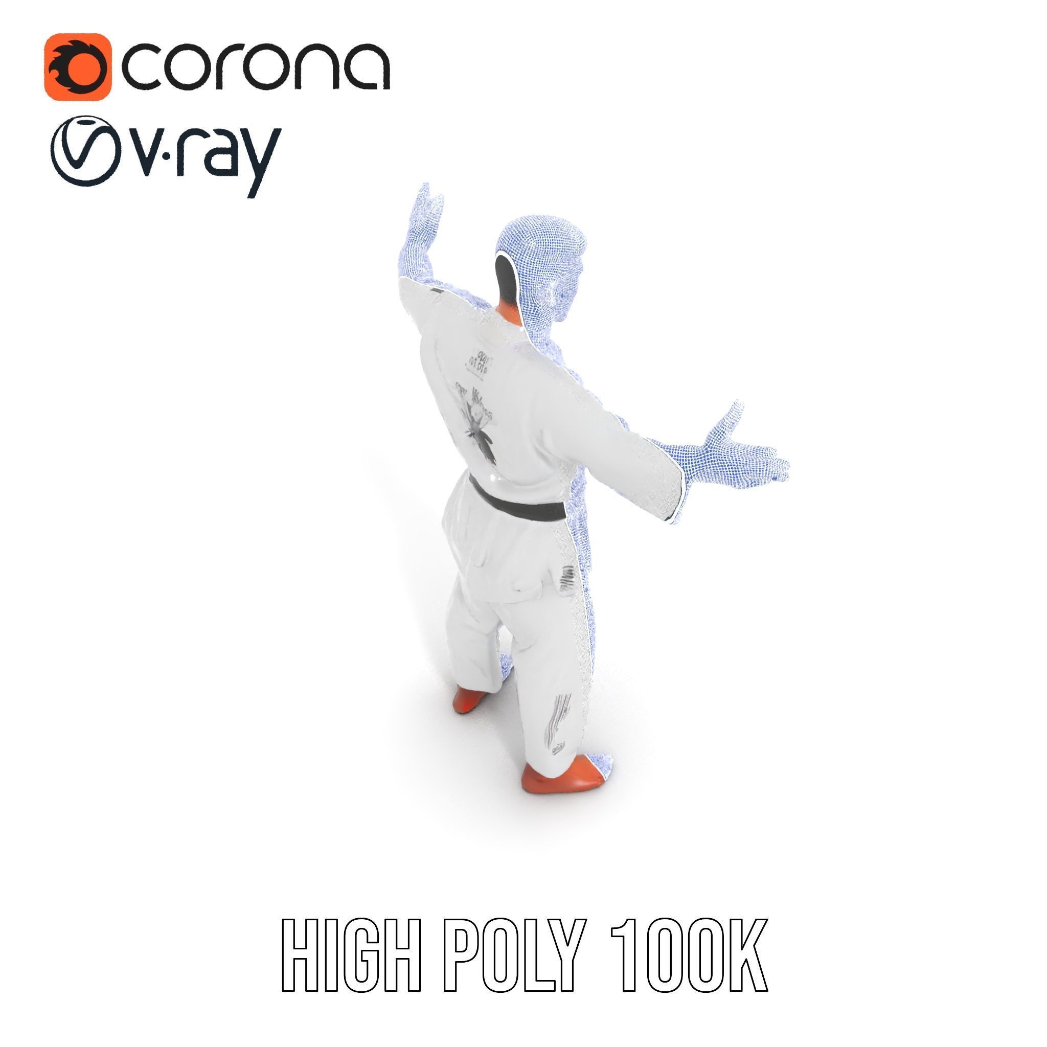 Martial Artist Character Rigged and Animated D Model Low-poly 3D model_33