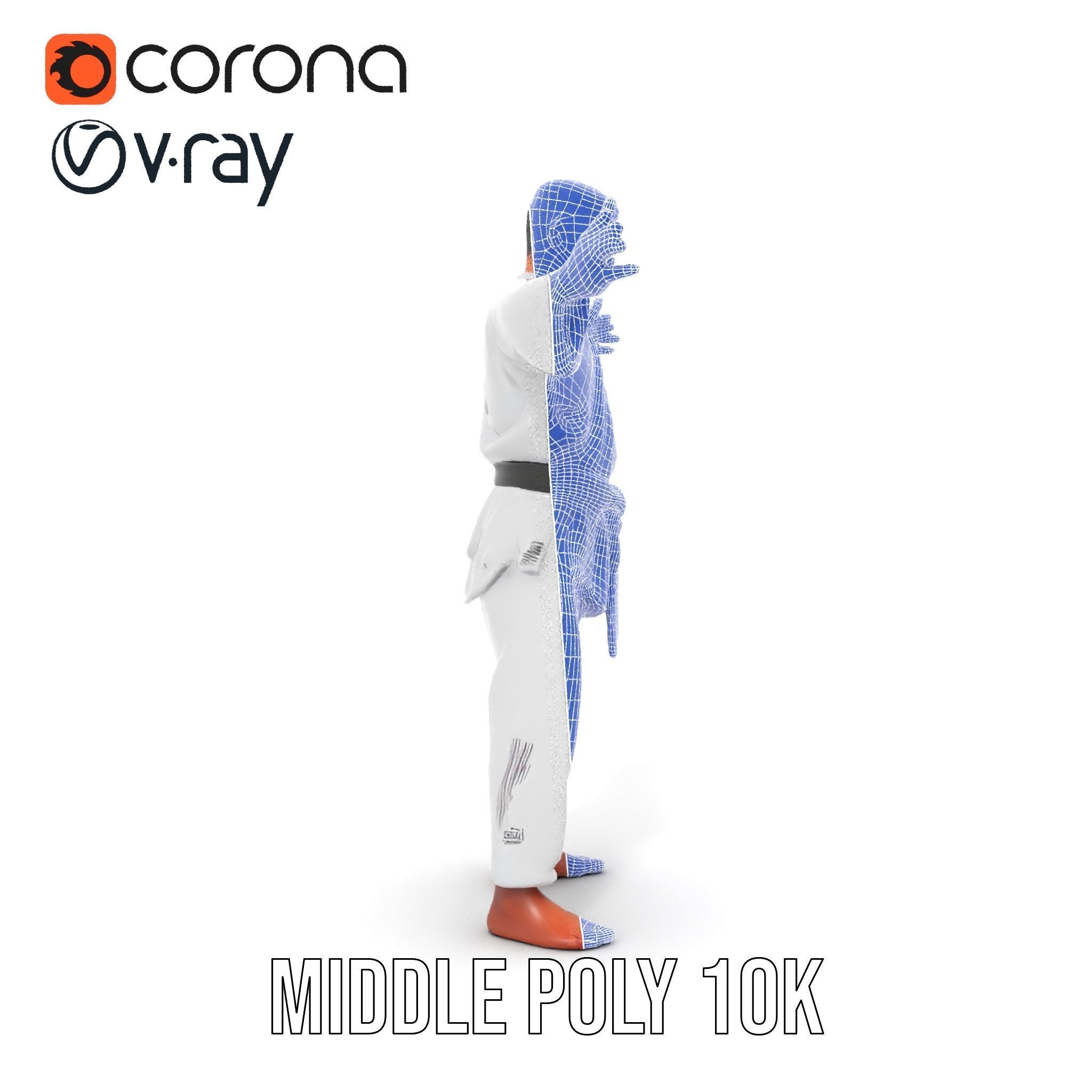 Martial Artist Character Rigged and Animated D Model Low-poly 3D model_29