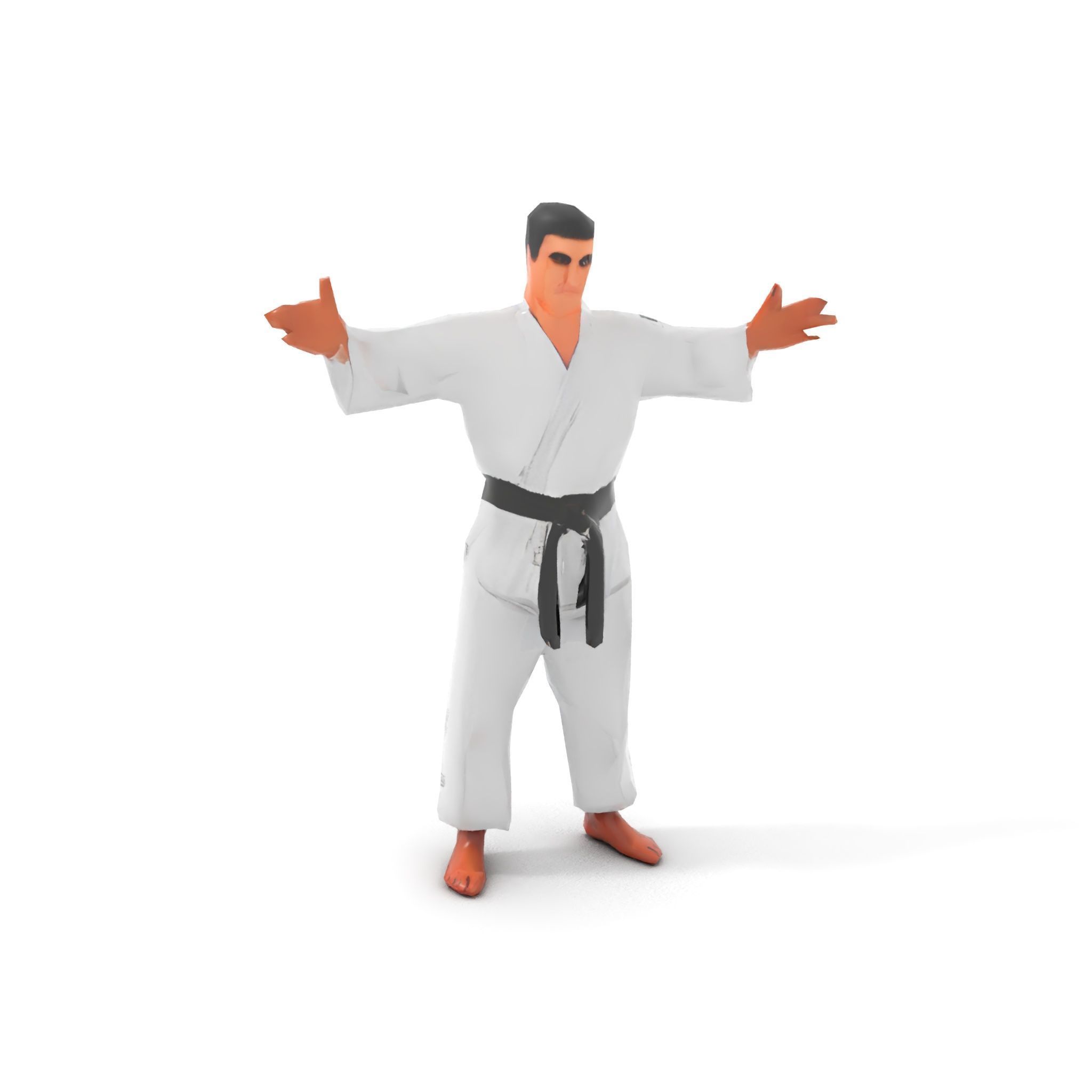 Martial Artist Character Rigged and Animated D Model Low-poly 3D model_16