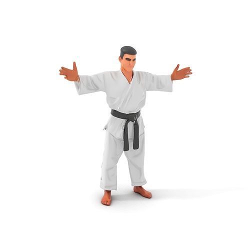 Martial Artist Character Rigged and Animated D Model Low-poly 3D model