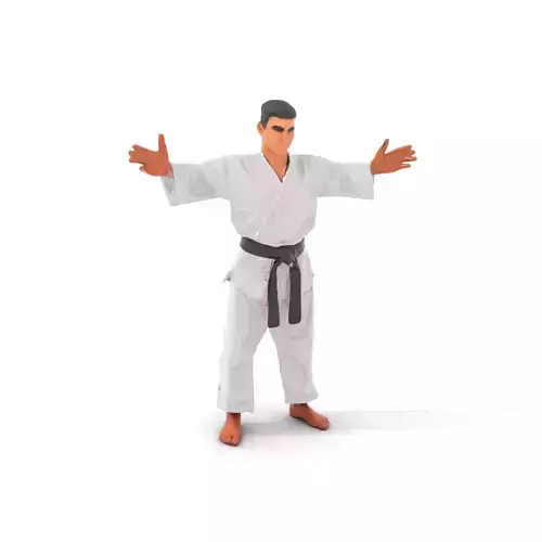 Martial Artist Character Rigged and Animated D Model Low-poly 3D model