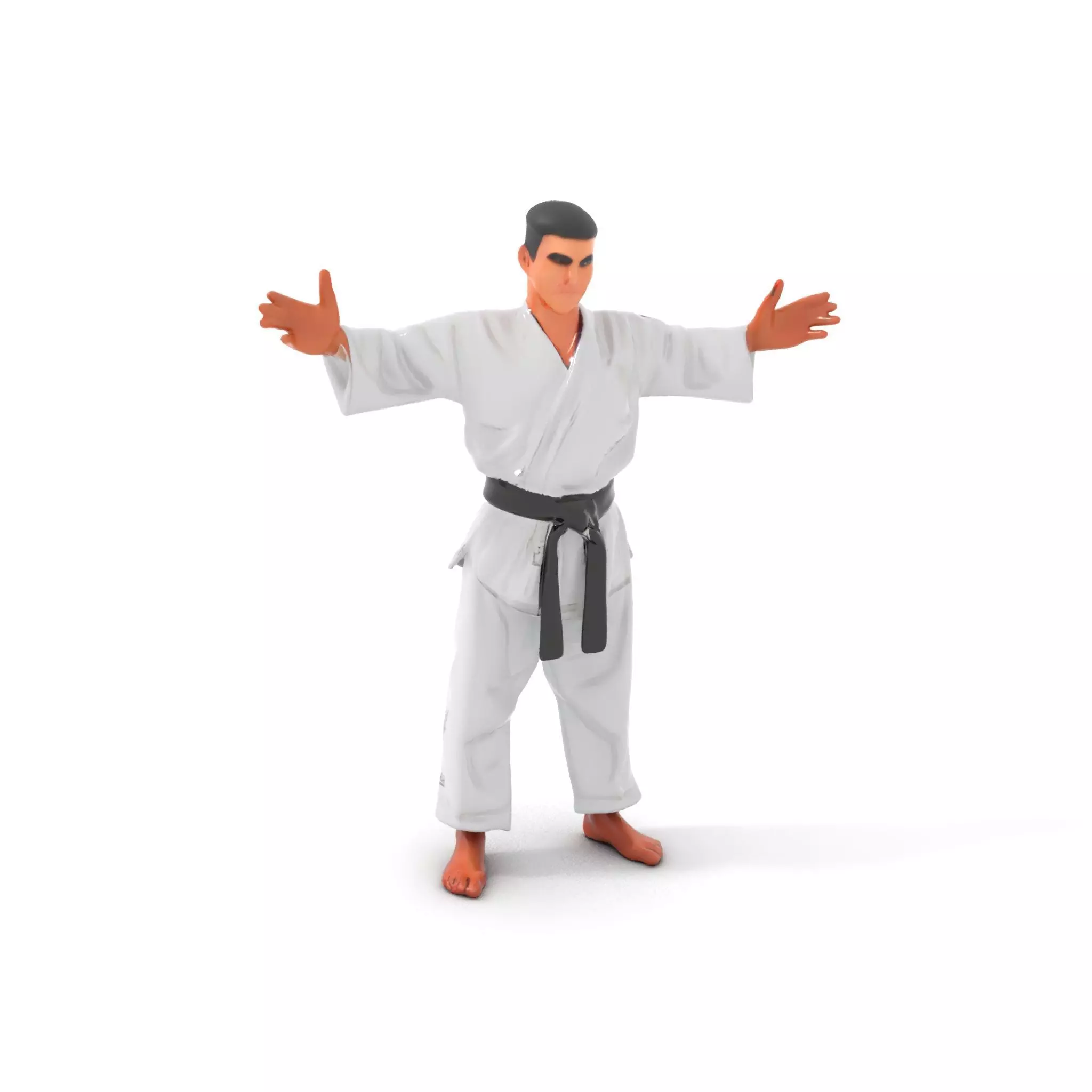 Martial Artist Character Rigged and Animated D Model Low-poly 3D model_0