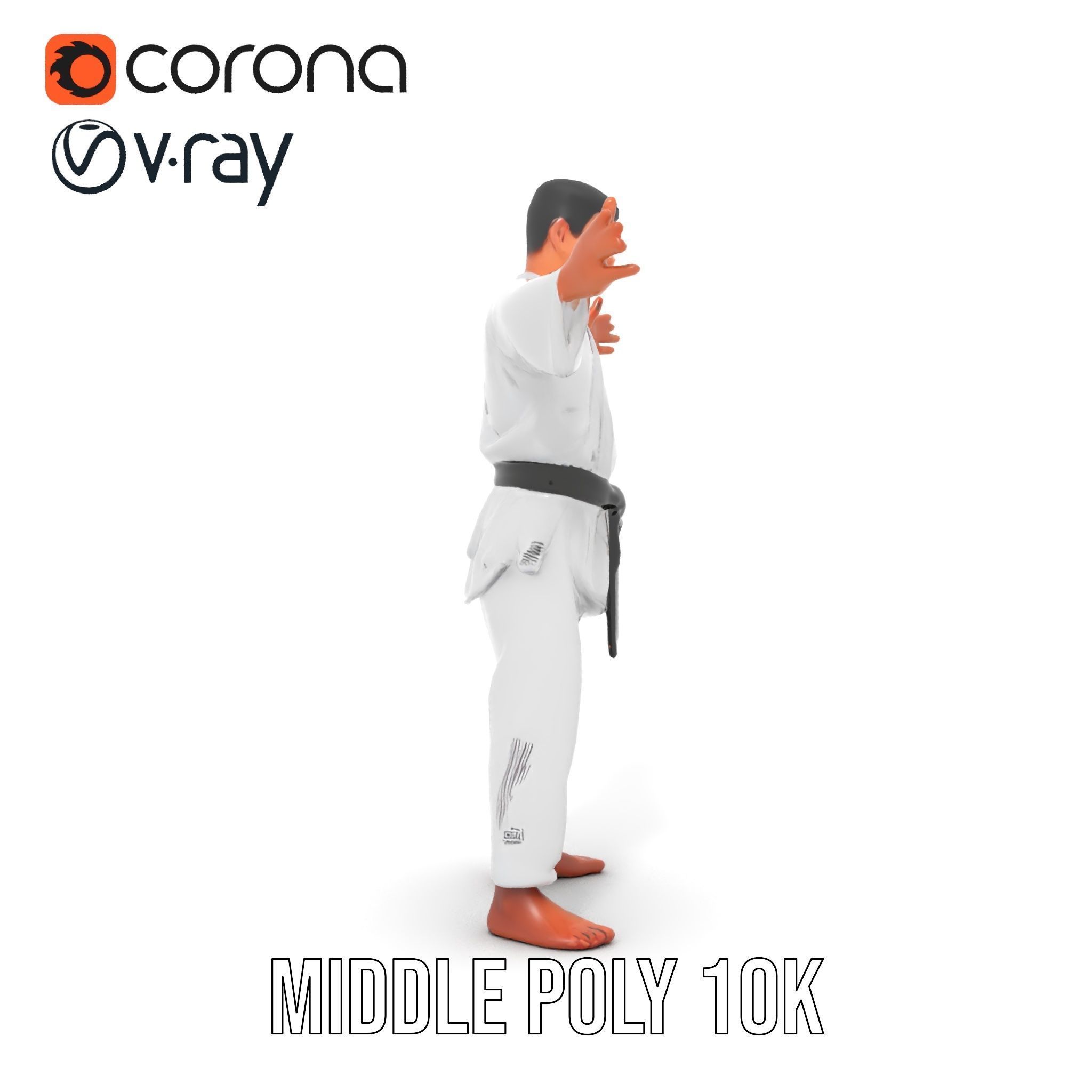 Martial Artist Character Rigged and Animated D Model Low-poly 3D model_10