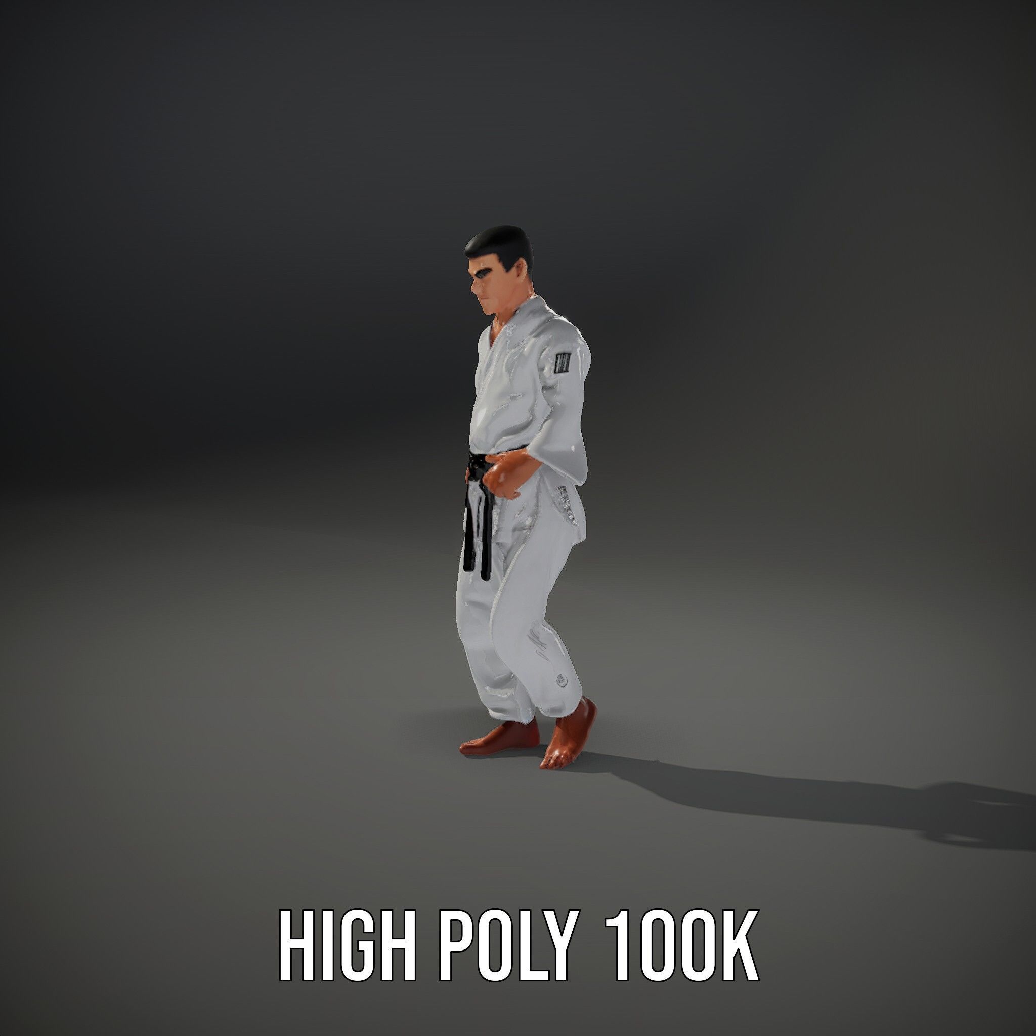 Martial Artist Character Rigged and Animated D Model Low-poly 3D model_14