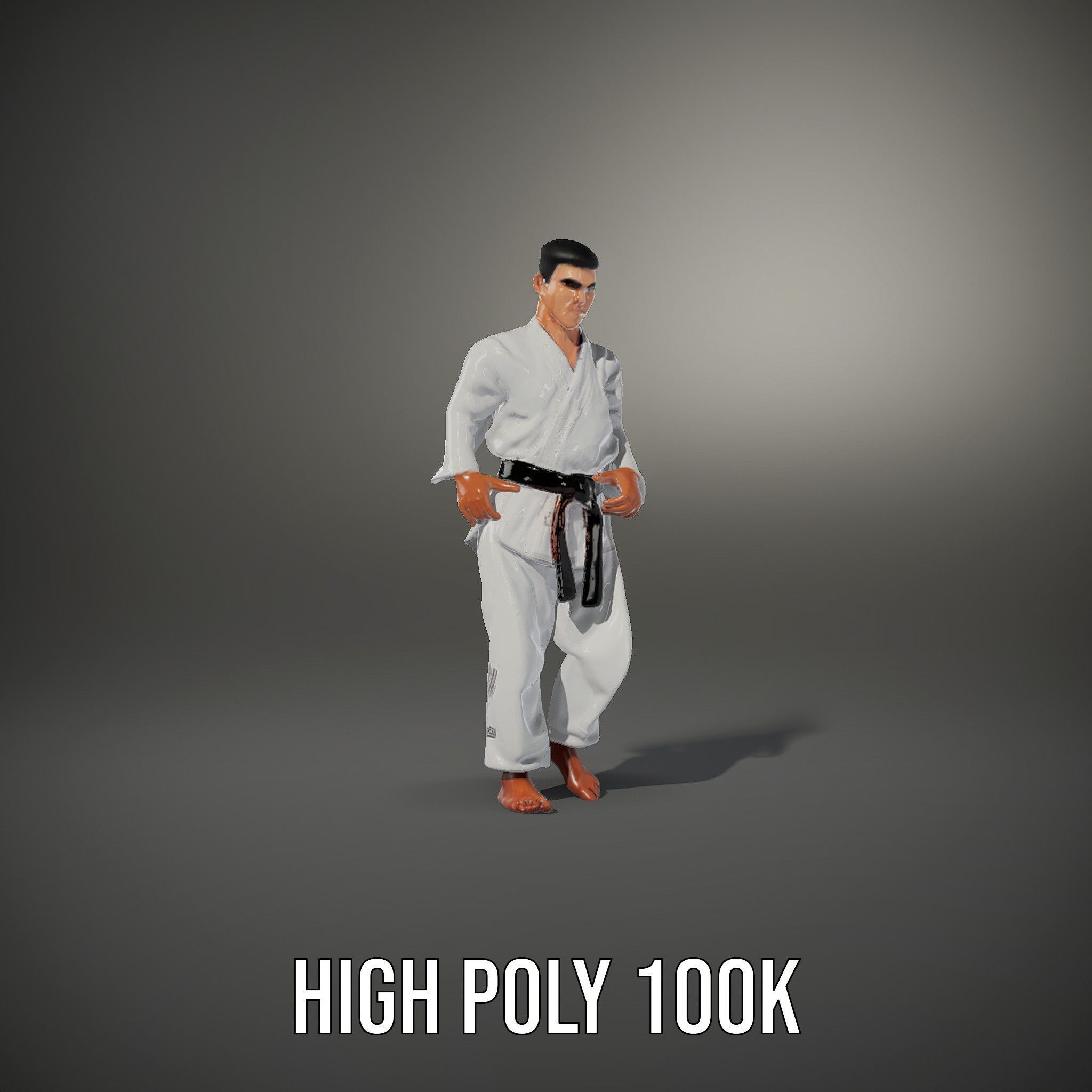 Martial Artist Character Rigged and Animated D Model Low-poly 3D model_28