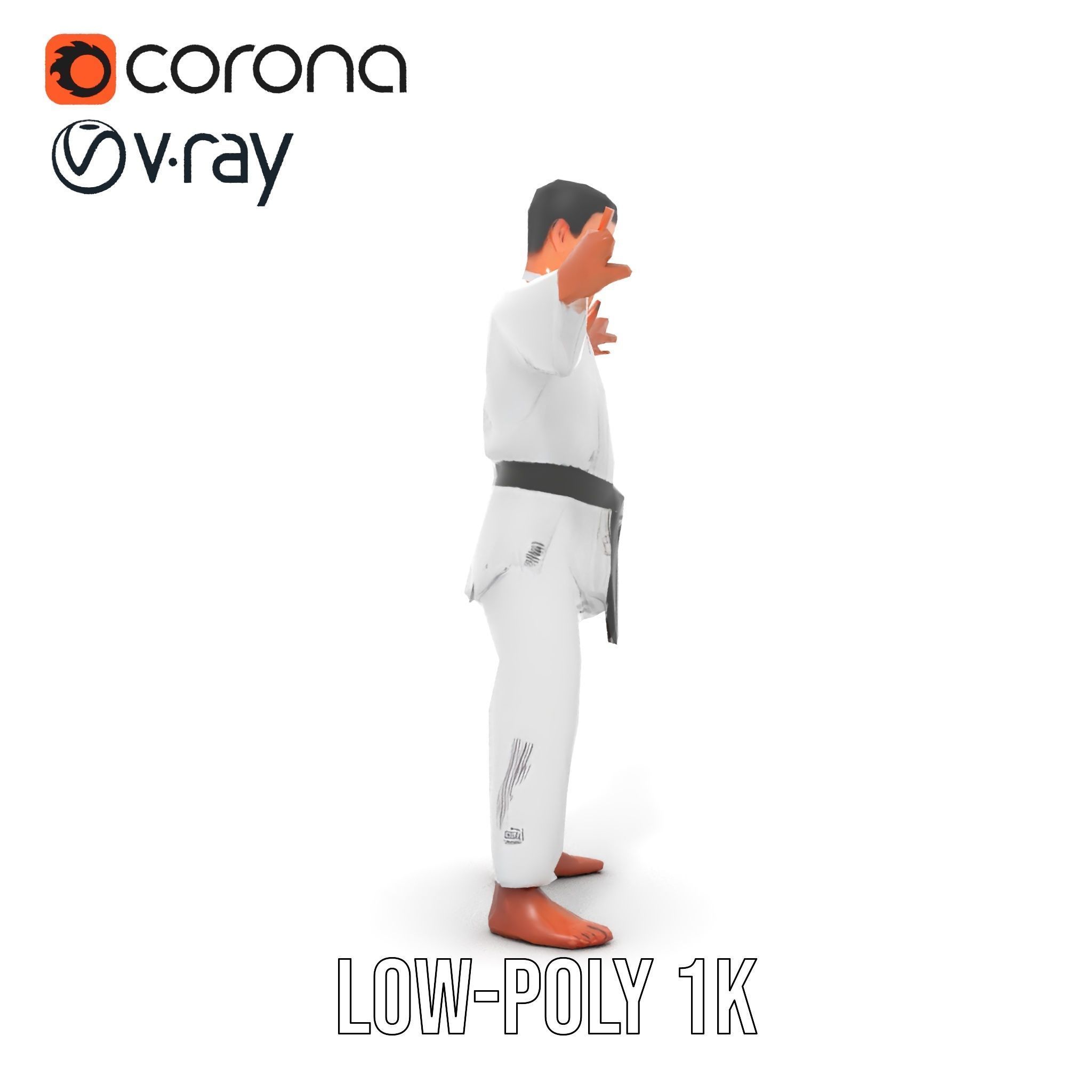 Martial Artist Character Rigged and Animated D Model Low-poly 3D model_27