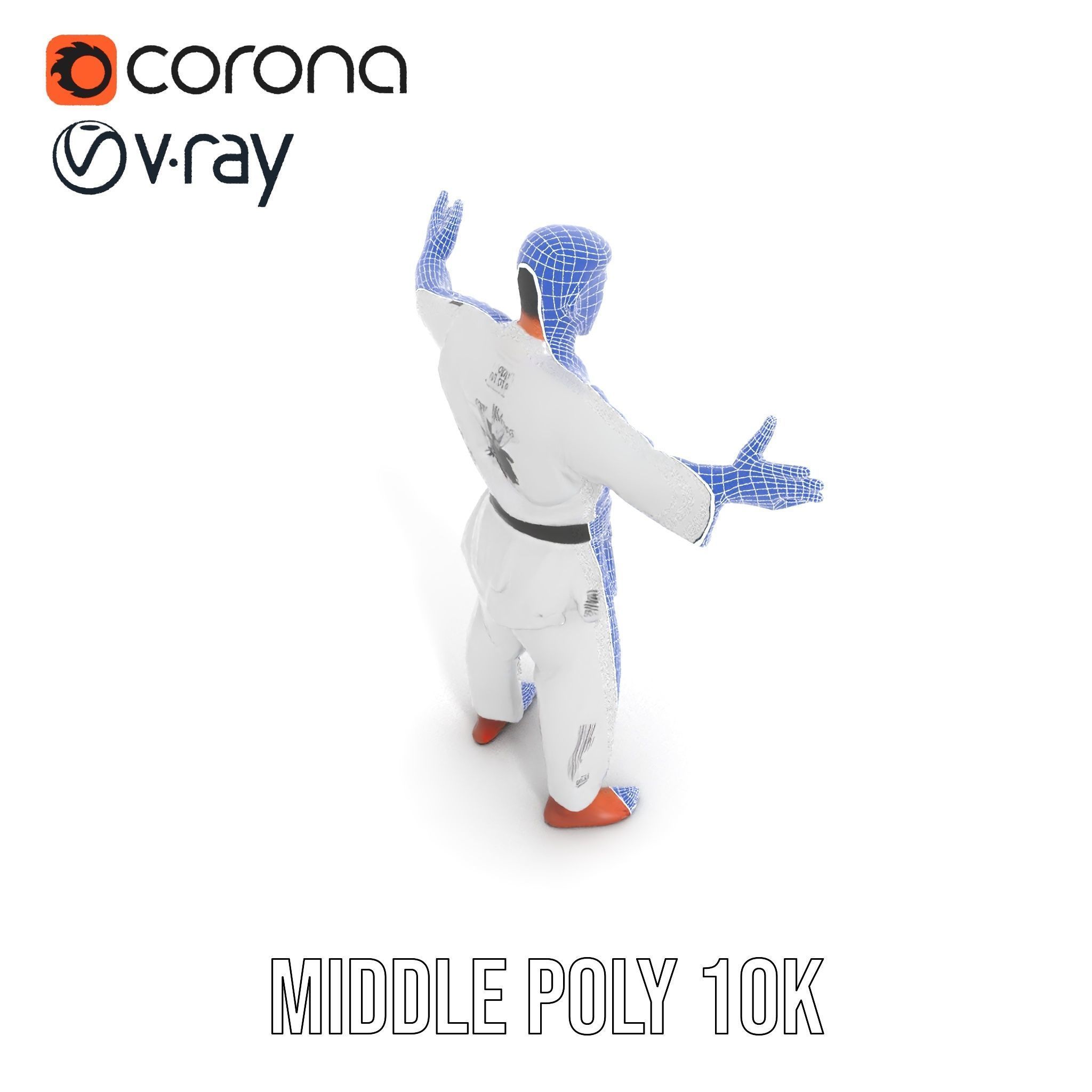 Martial Artist Character Rigged and Animated D Model Low-poly 3D model_34