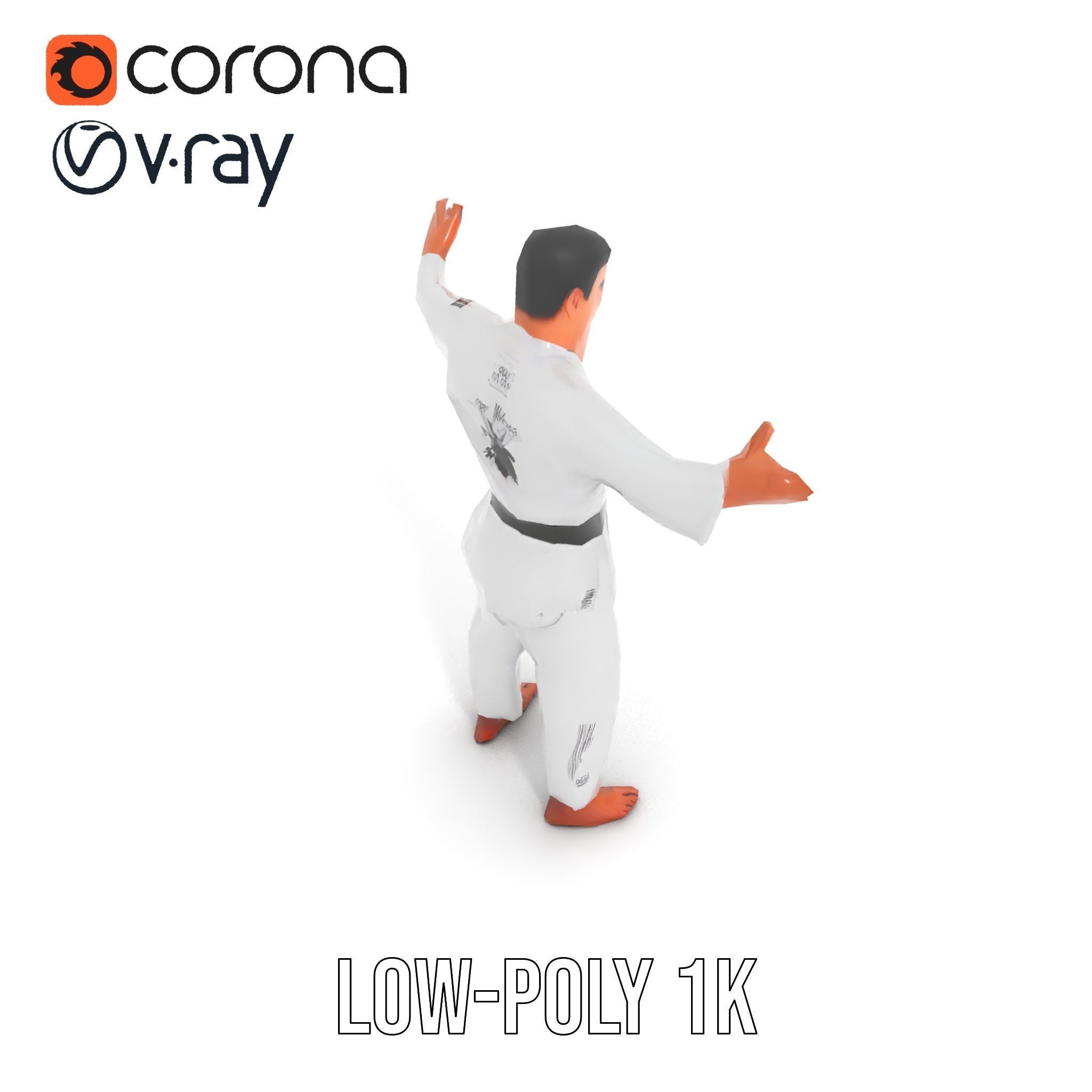 Martial Artist Character Rigged and Animated D Model Low-poly 3D model_8