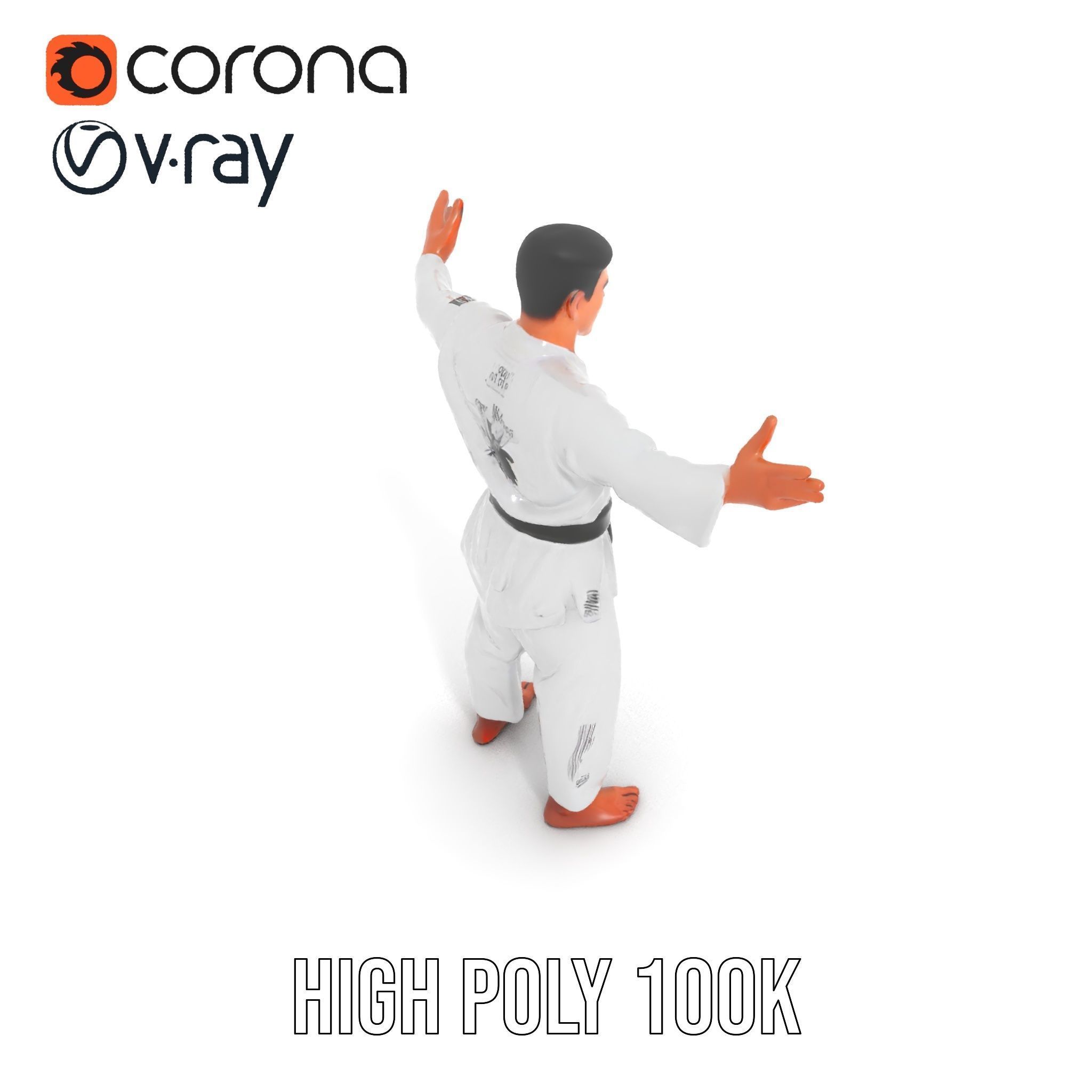 Martial Artist Character Rigged and Animated D Model Low-poly 3D model_17