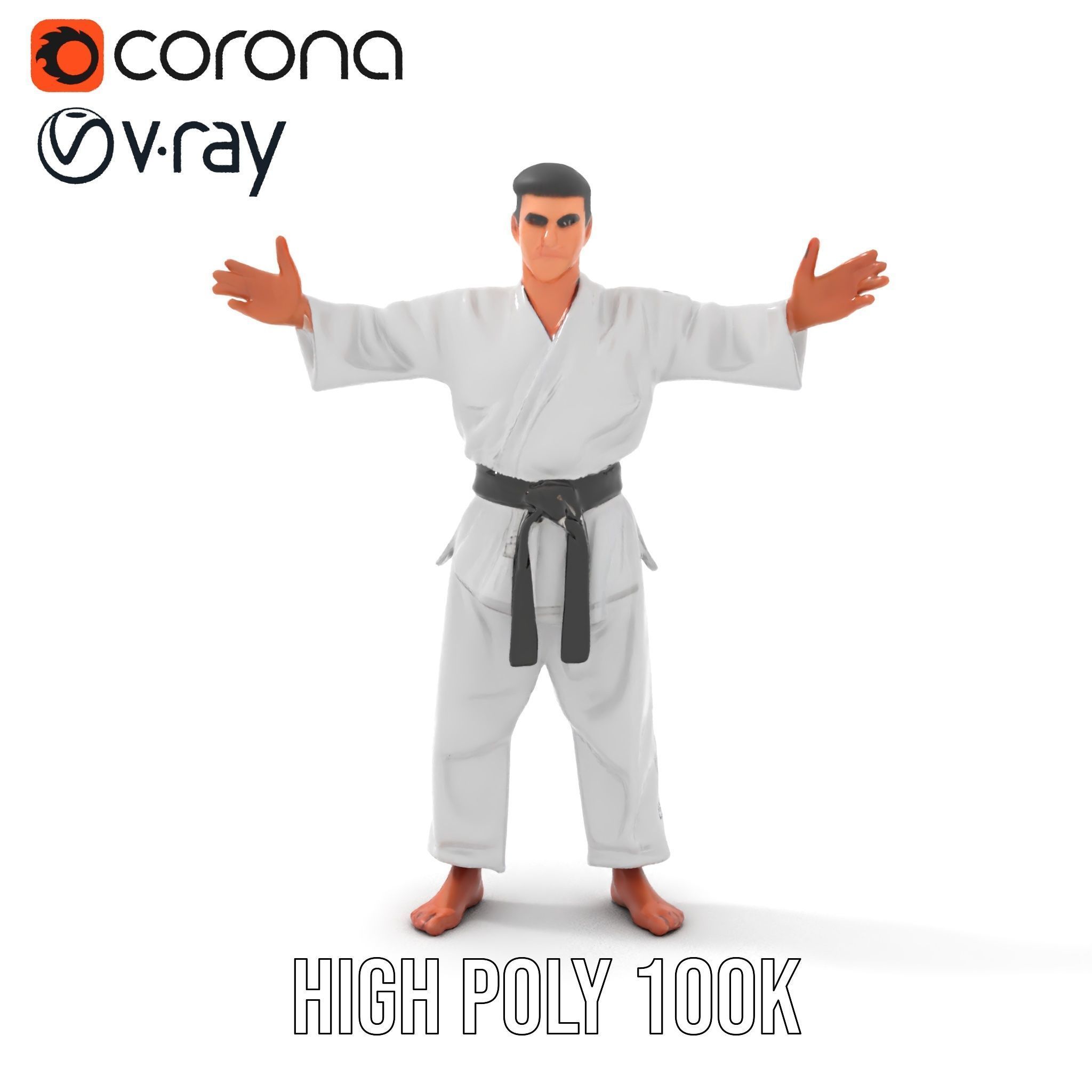 Martial Artist Character Rigged and Animated D Model Low-poly 3D model_9