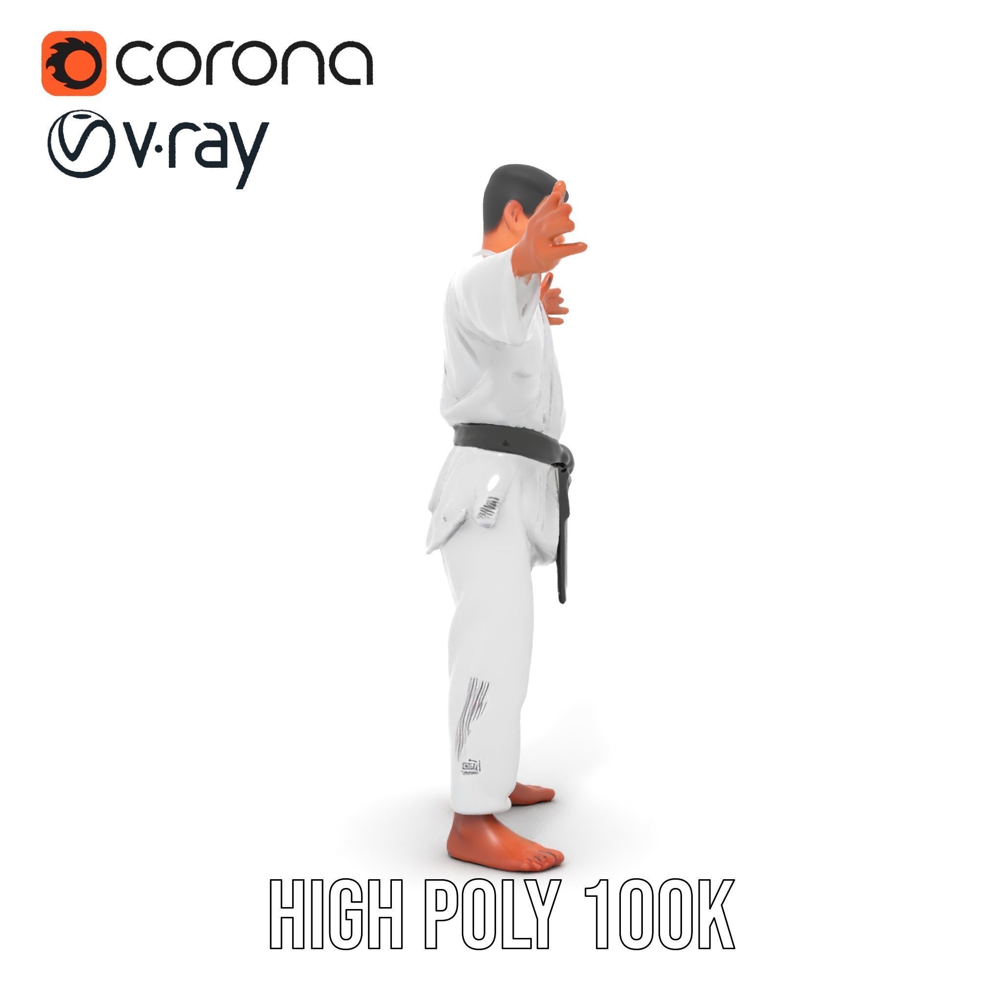 Martial Artist Character Rigged and Animated D Model Low-poly 3D model_23