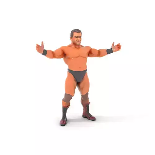 Muscular Wrestler Character Model Rigged and Animated Low-poly 3D model
