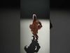 Indigenous Elder Character Model Rigged and Animated Low-poly 3D model_2