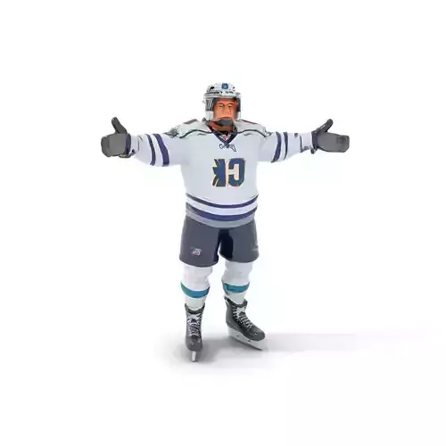 Ice Hockey Player Character Rigged and Animated Low-poly 3D model