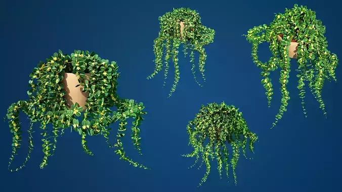 Plants MAYA Low-poly 3D model