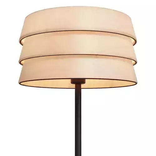 Modern Wooden Floor Lamp 3D Model  